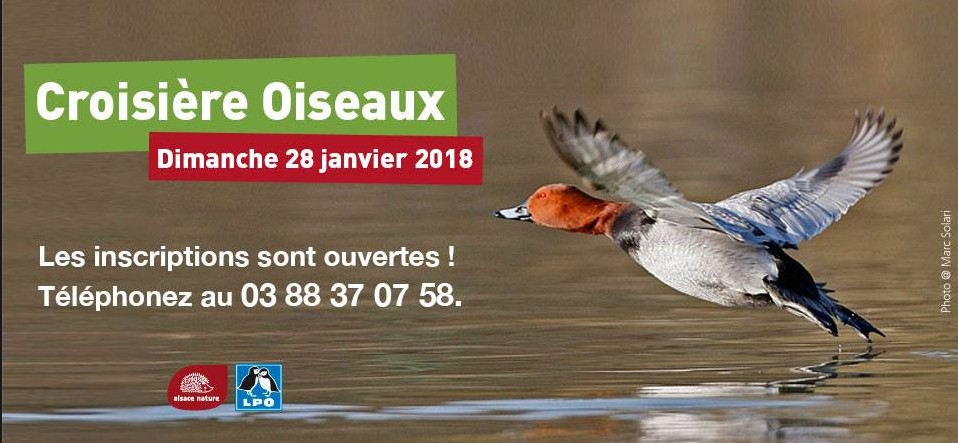 Croisiere oiseaux 2018